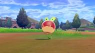 Applin in Sword and Shield (Image via The Pokemon Company)